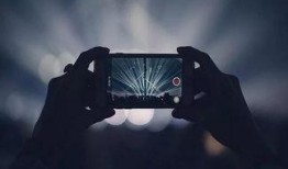 黑天鹅行迹爆料视频,视频爆料揭示惊人真相