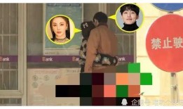 明星娱乐圈爆料视频在线观看,明星爆料视频大公开